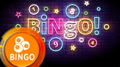 bet bingo|bingobet.